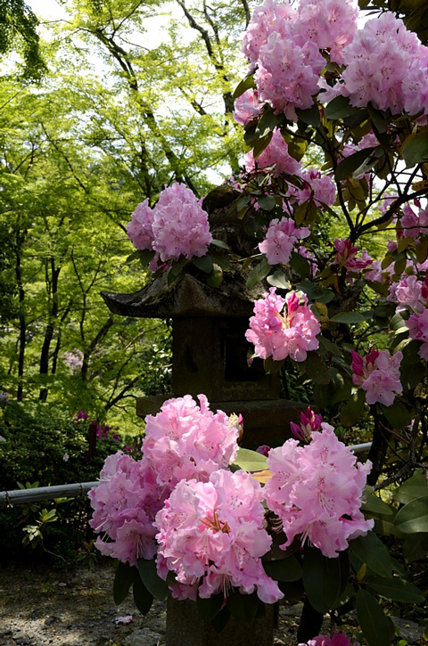 f0108478_1722572.jpg