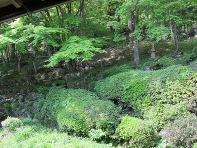 c0118495_2383989.jpg