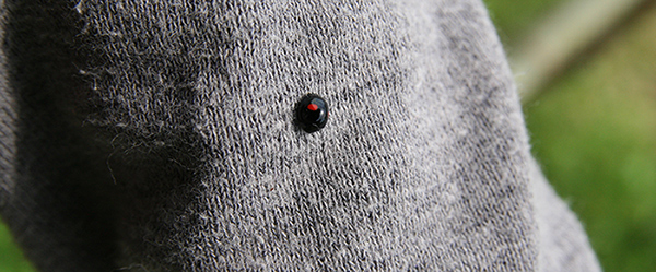 d0100095_11305295.jpg