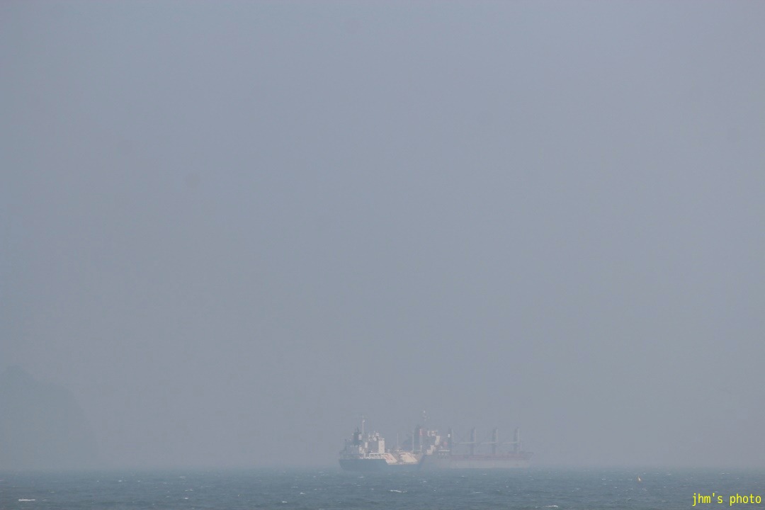 a0158797_8553947.jpg