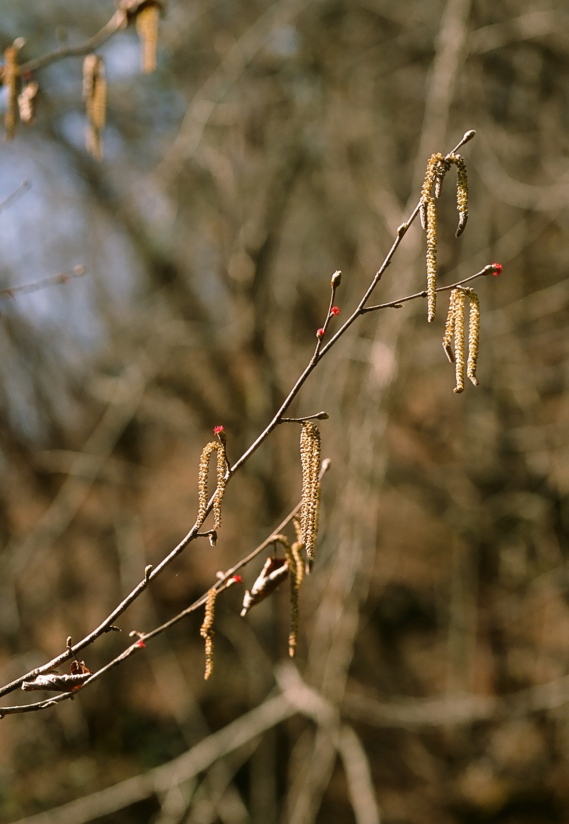 f0220698_0214855.jpg