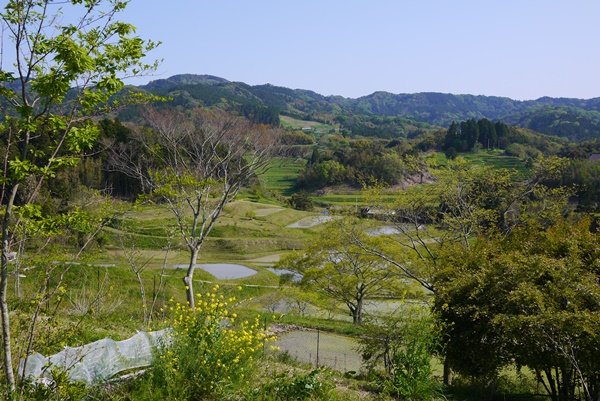 d0133704_1414999.jpg