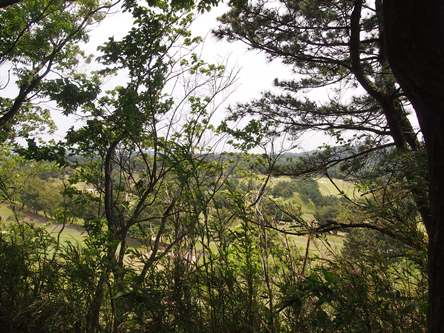 e0245404_058779.jpg
