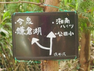 e0245404_143454.jpg
