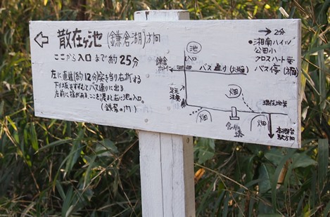e0245404_17532.jpg