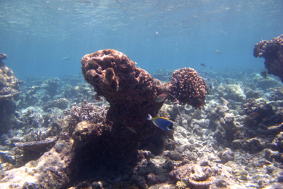 d0298808_13172916.jpg