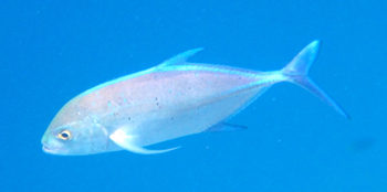 d0298808_13174662.jpg