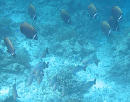 d0298808_13175425.jpg