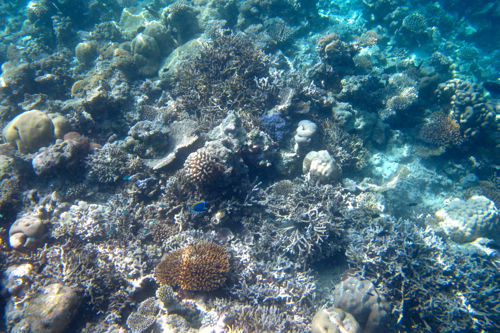d0298808_1320263.jpg