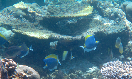 d0298808_13211458.jpg