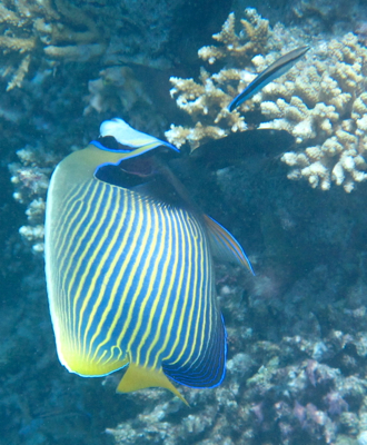 d0298808_13213157.jpg