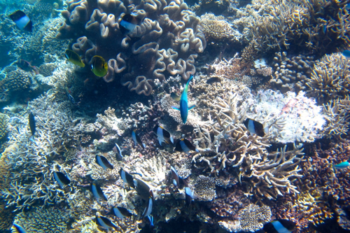 d0298808_13215463.jpg