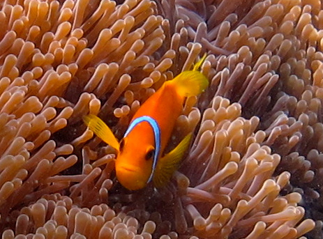 d0298808_13222513.jpg