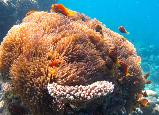 d0298808_1323659.jpg
