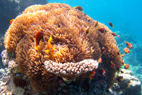 d0298808_13251548.jpg