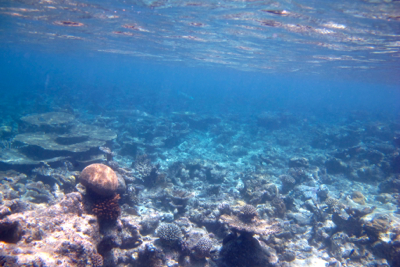 d0298808_13261391.jpg