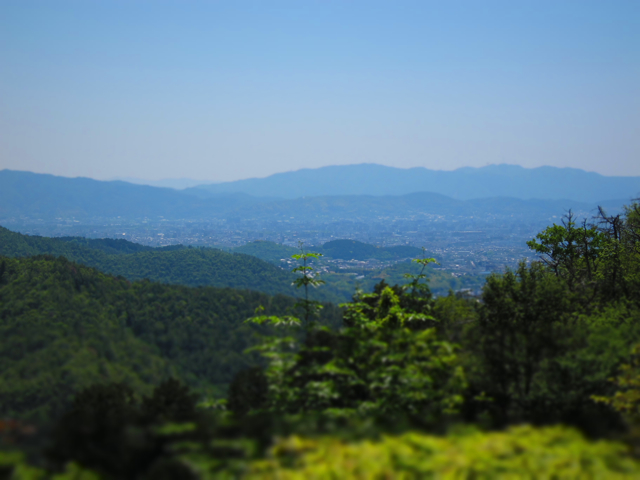 a0129311_23481036.jpg