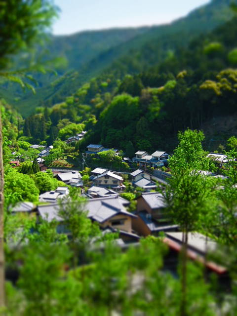 a0129311_2348720.jpg
