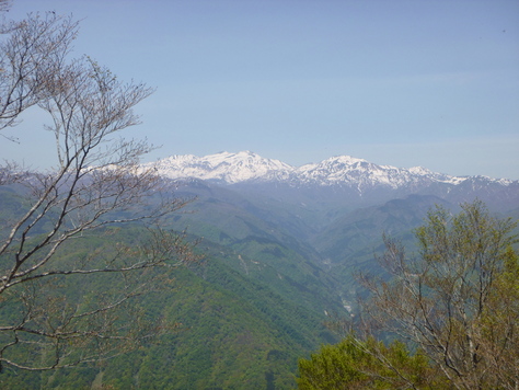 d0170615_7504054.jpg