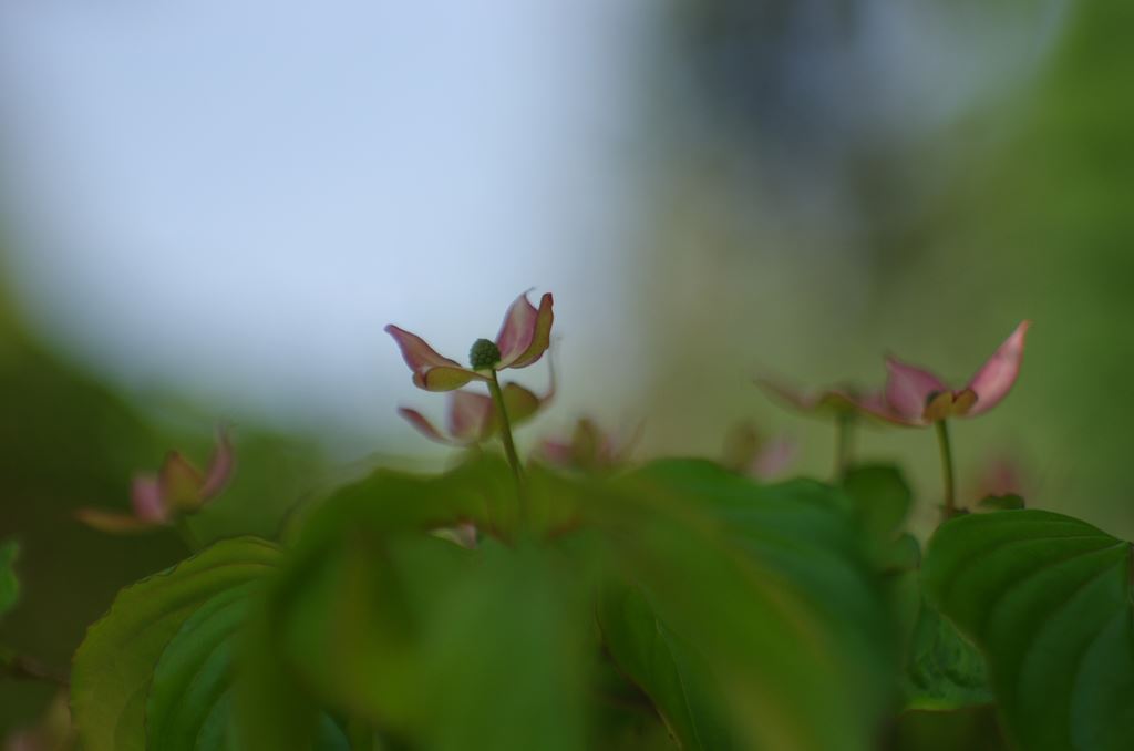 f0222919_2023016.jpg