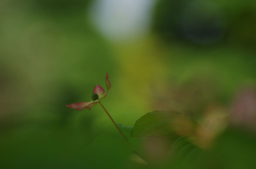 f0222919_2023715.jpg