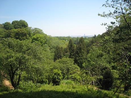 f0166824_2129389.jpg