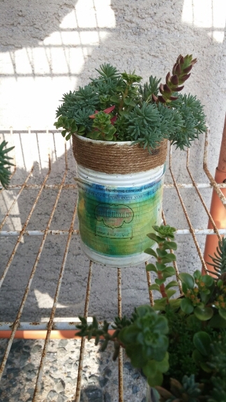 f0277327_2564386.jpg