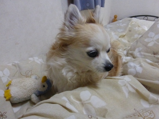 b0138430_10124871.jpg