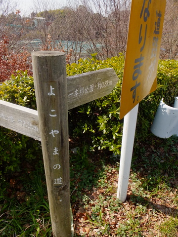 b0281732_7145048.jpg