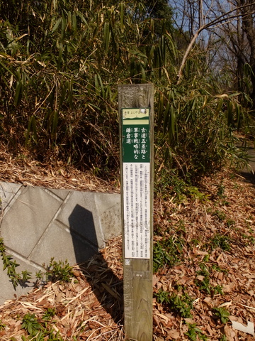 b0281732_7154418.jpg