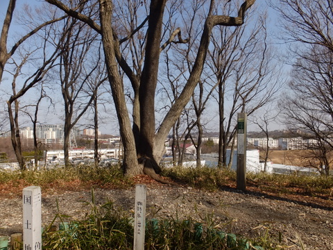 b0281732_71644100.jpg