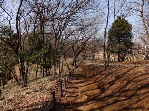 b0281732_7165733.jpg