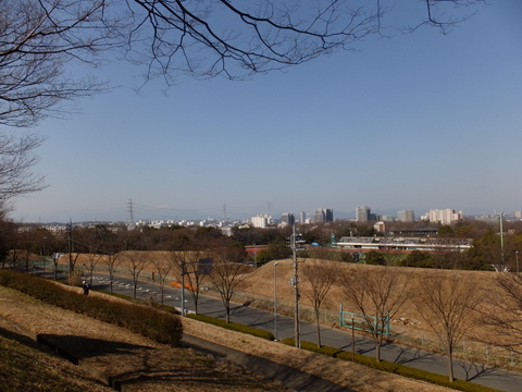 b0281732_7171699.jpg