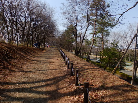 b0281732_717394.jpg