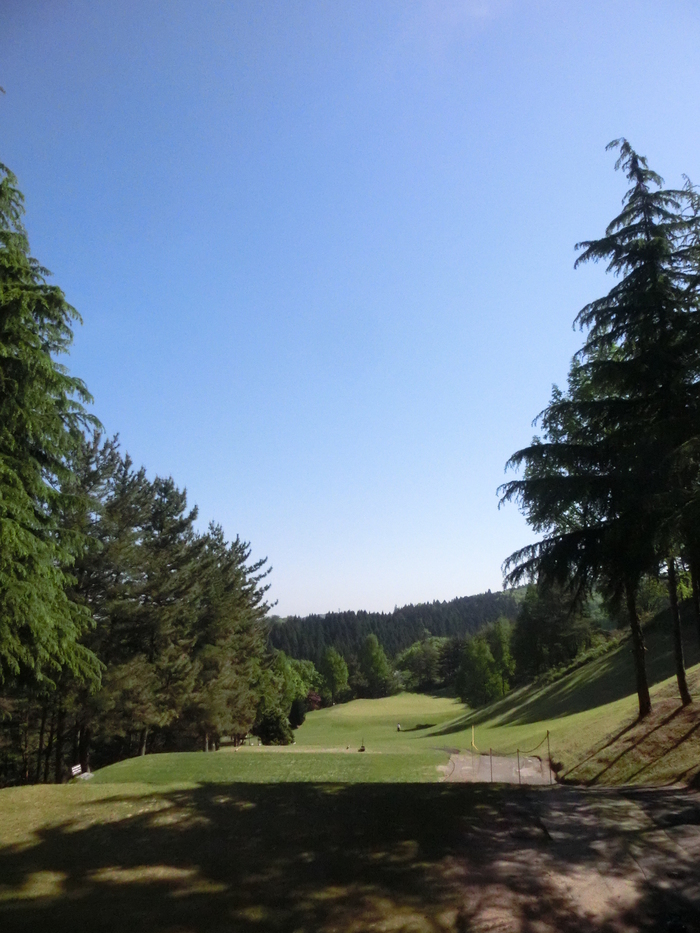 c0117936_1115246.jpg