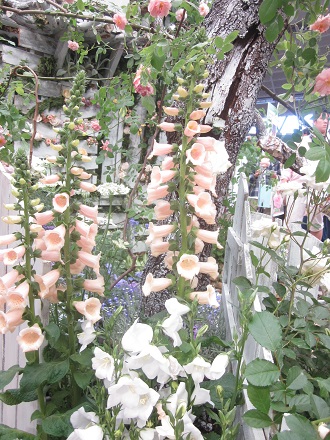 c0234938_01243365.jpg