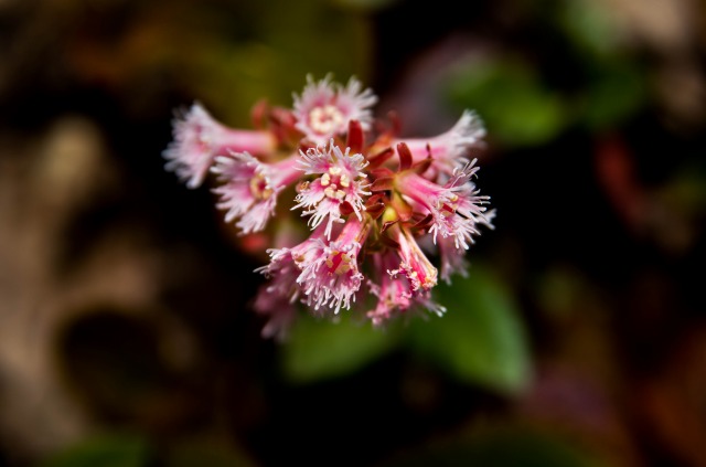 f0029038_22223033.jpg