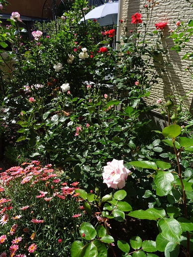 d0296341_85910.jpg