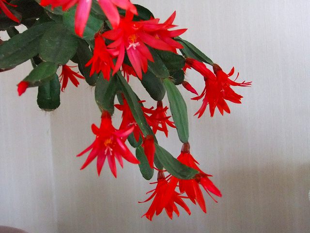 d0131847_13460841.jpg