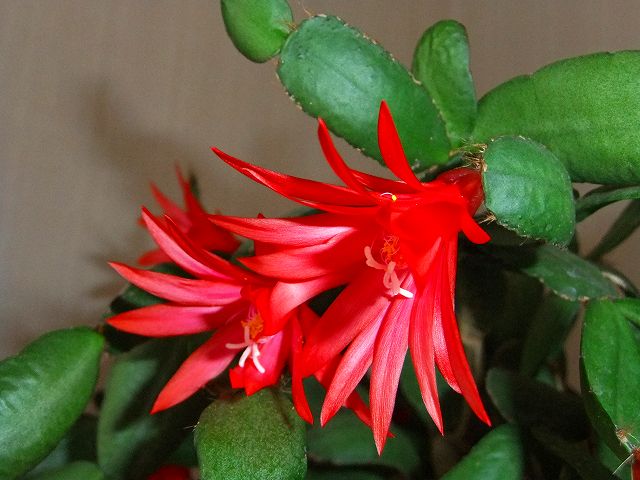 d0131847_13462047.jpg