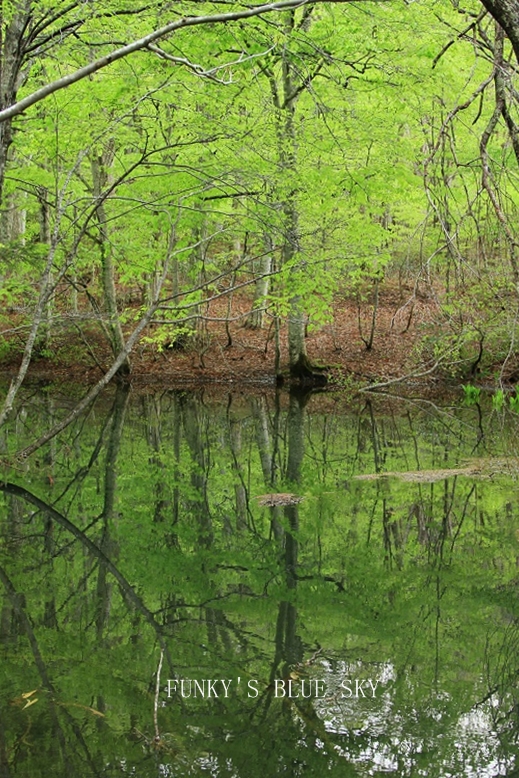 c0145250_17383179.jpg