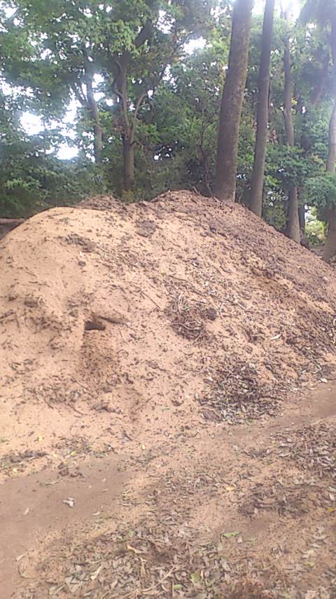 e0110055_21293369.jpg