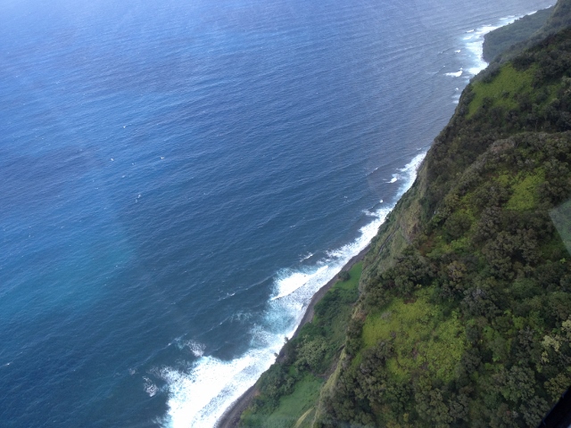 e0033156_9341012.jpg
