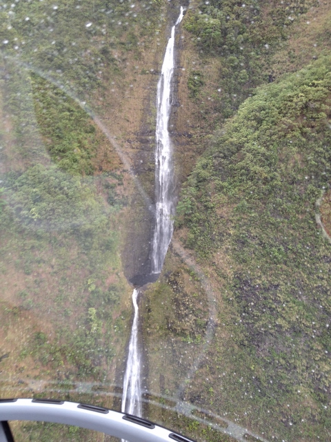 e0033156_937717.jpg