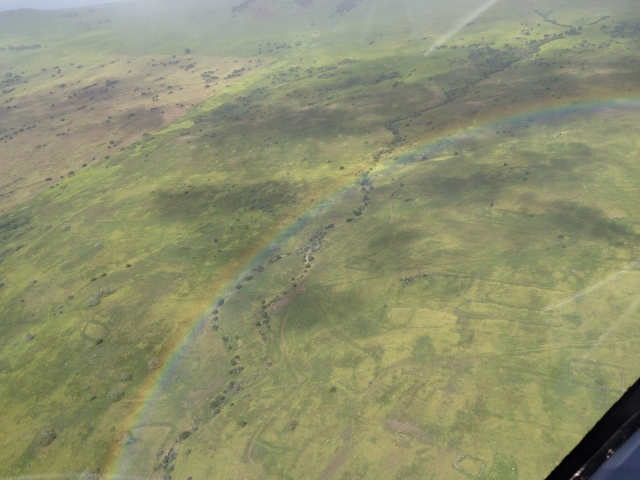 e0033156_938387.jpg