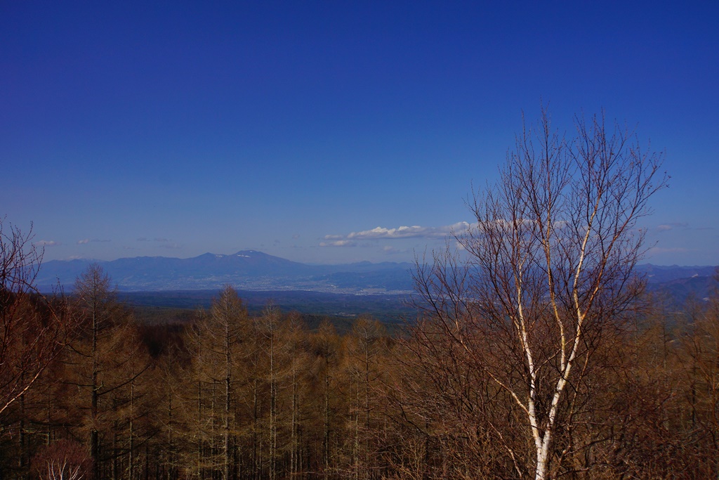 e0223456_913065.jpg