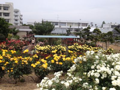 e0092767_10415278.jpg