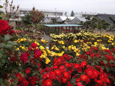 e0092767_10415711.jpg