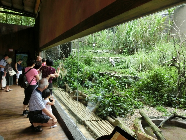 d0131068_21312640.jpg