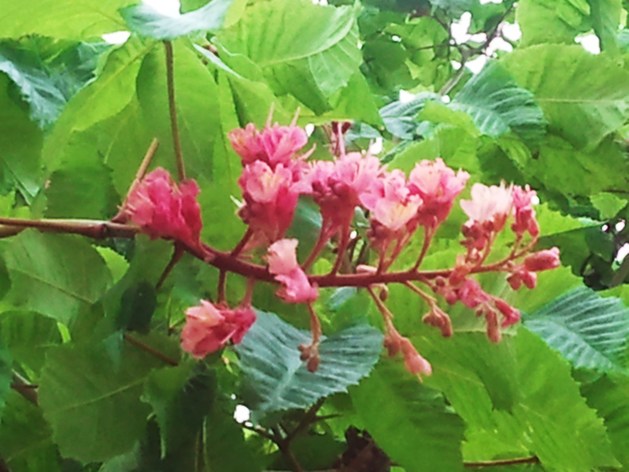 c0195369_201069.jpg